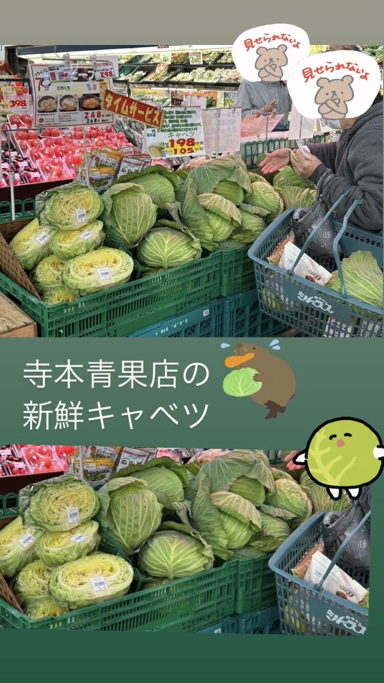 寺本青果店　市場直送　新鮮キャベツ！！