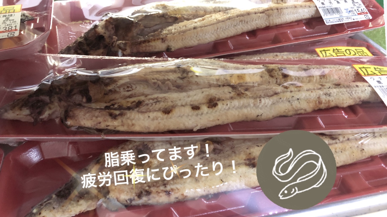 中野鮮魚店　国産うなぎ（当店の人気商品です。）