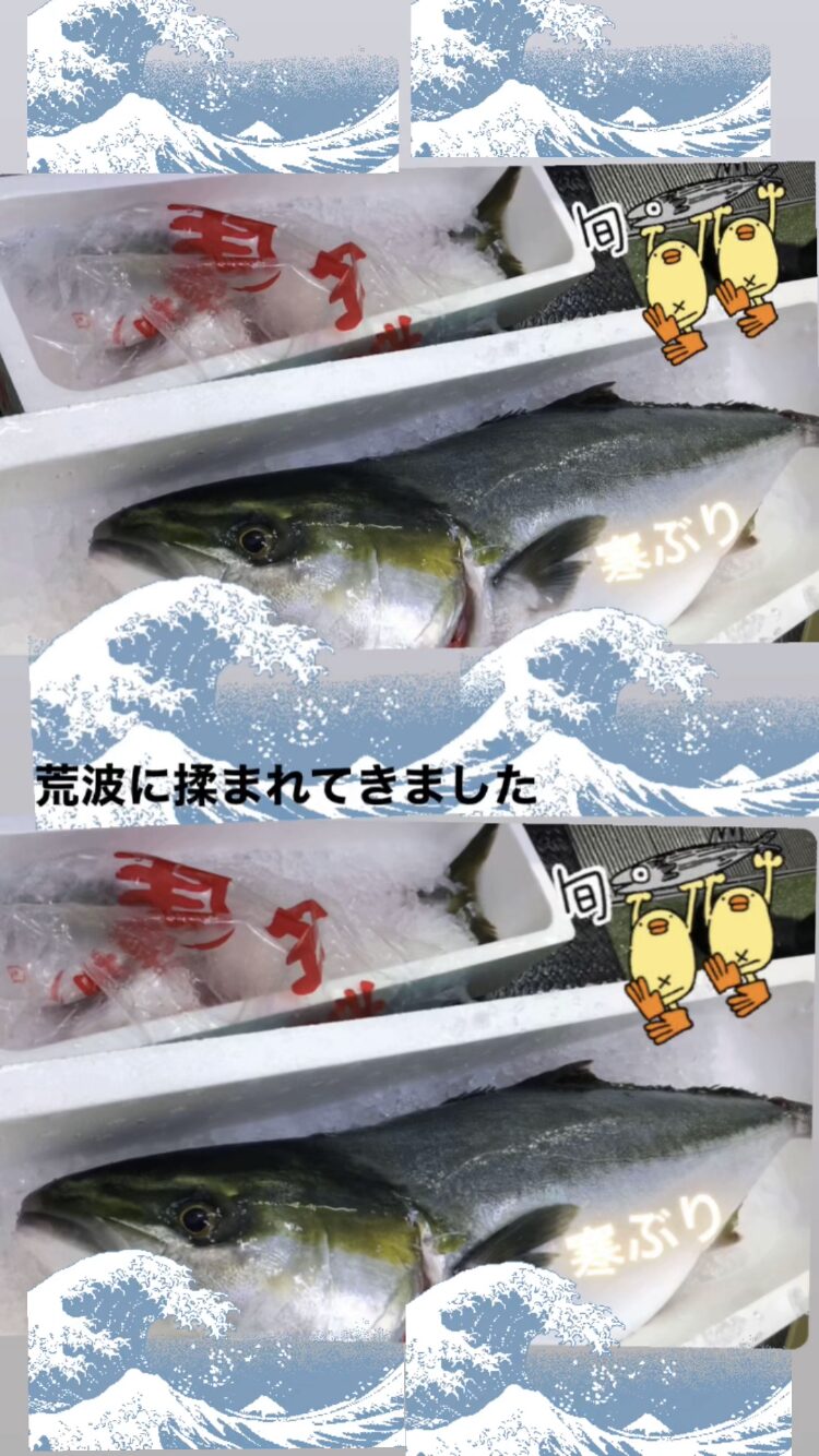 中野鮮魚店　寒ブリ（寒くなった今が旬！！）