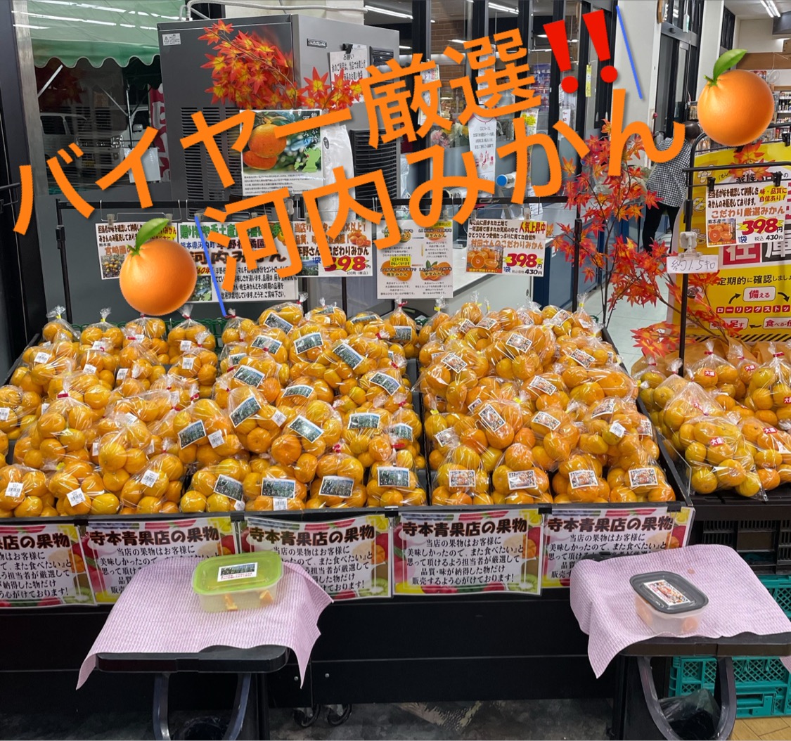 🍊熊本が誇る河内みかん🍊