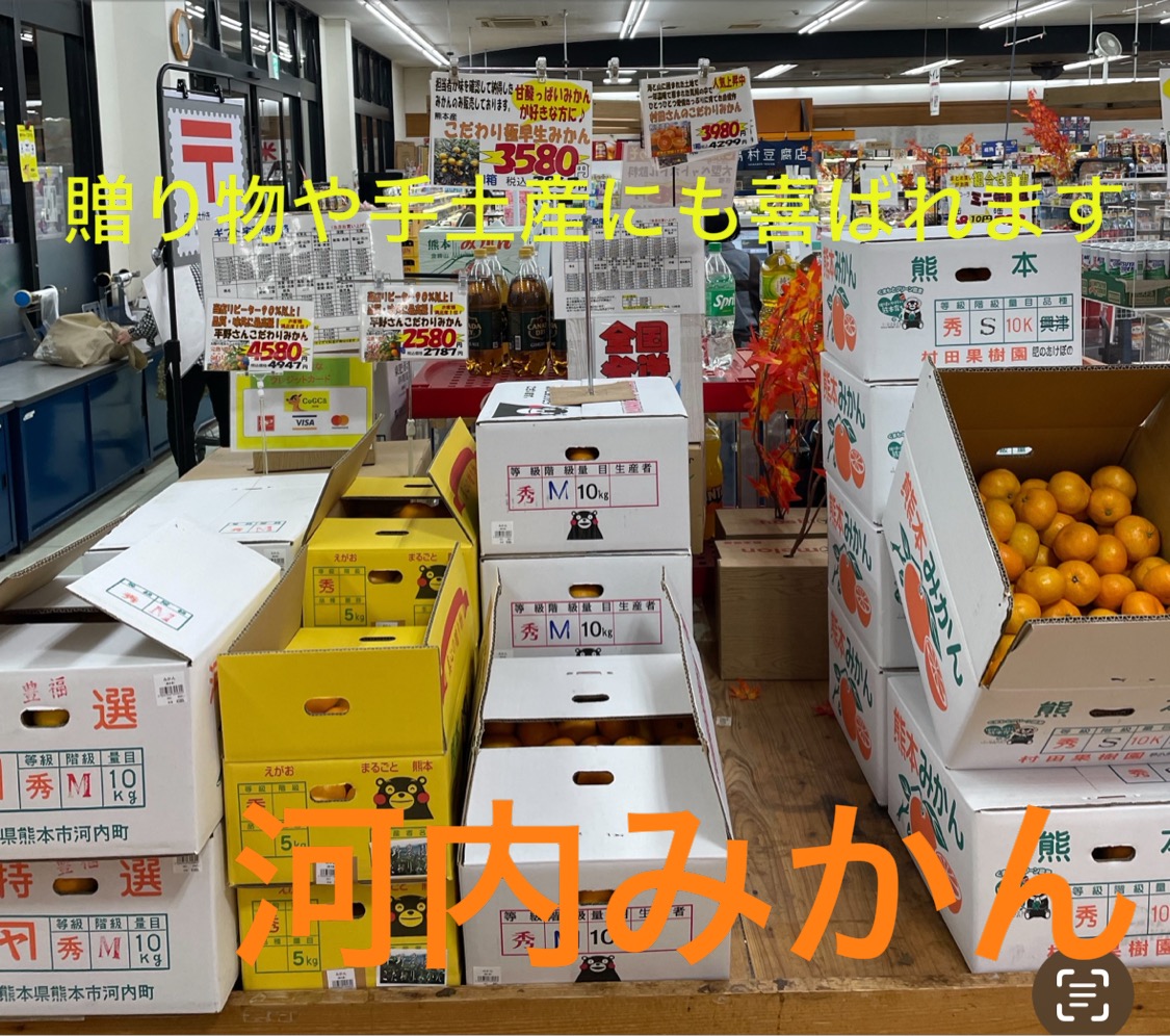 🍊河内みかん🍊